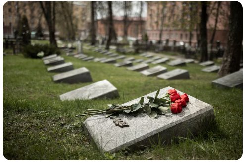Die Vorteile der Baumbestattung: Ein friedvoller und nachhaltiger Abschied